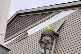 Best Storm Damage Siding Repair  in Francisville, KY